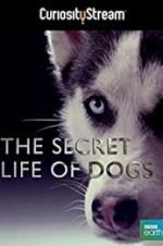 Watch Secret Life of Dogs Alluc