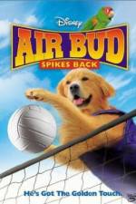 Watch Air Bud Spikes Back Alluc