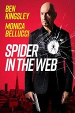 Watch Spider in the Web Alluc