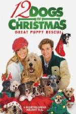 Watch 12 Dogs of Christmas Great Puppy Rescue Alluc