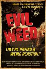 Watch Evil Weed Alluc