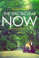 Watch The Spectacular Now Alluc