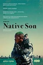 Watch Native Son Alluc