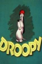 Watch Homesteader Droopy Alluc