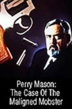 Watch Perry Mason: The Case of the Maligned Mobster Alluc