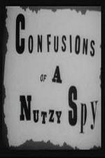 Watch Confusions of a Nutzy Spy Online Alluc
