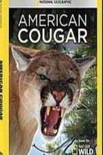 Watch National Geographic - American Cougar Online Alluc