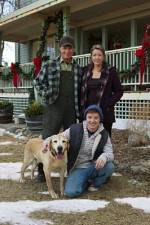Watch Hallmark Hall of Fame A Dog Named Christmas Alluc