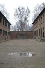 Watch Made in Auschwitz: The Untold Story of Block 10 Alluc