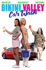 Watch Bikini Valley Car Wash Alluc