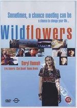 Wildflowers alluc