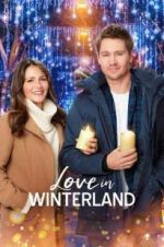 Watch Love in Winterland Alluc