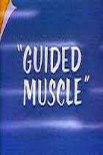 Watch Guided Muscle Alluc