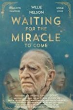 Watch Waiting for the Miracle to Come Alluc