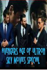 Watch Avengers Age of Ultron Sky Movies Special Alluc