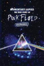 Watch Pink Floyd: Momentary Lapses - The True Story Of Pink Floyd Alluc