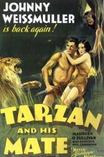 Watch Tarzan and His Mate Alluc