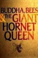 Watch Natural World Buddha Bees and the Giant Hornet Queen Online Alluc