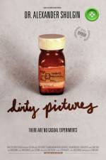 Watch Dirty Pictures Online Alluc