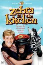 Watch Zebra in the Kitchen Alluc