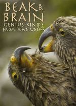 Watch Beak & Brain - Genius Birds from Down Under Online Alluc