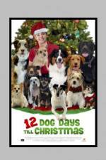 Watch 12 Dog Days of Christmas Alluc