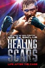 Watch Healing Scars Alluc