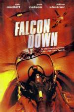 Watch Falcon Down Alluc