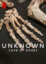 Watch Unknown: Cave of Bones Alluc