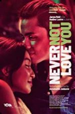 Watch Never Not Love You Alluc