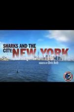 Watch Sharks and the City: New York Alluc