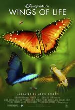 Watch Disneynature: Wings of Life Alluc