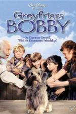 Watch Greyfriars Bobby The True Story of a Dog Alluc