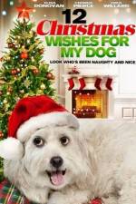 Watch 12 Christmas Wishes For My Dog Alluc