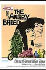 Watch The Angry Breed Alluc