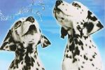 Watch 101 Dalmatians Sing Along Alluc