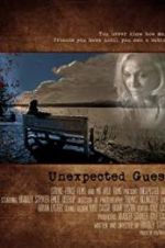 Watch Unexpected Guest Online Alluc