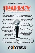 Watch The Improv: 50 Years Behind the Brick Wall (TV Special 2013) Online Alluc