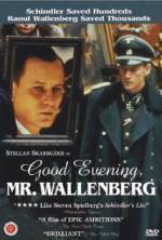 Watch Good Evening, Mr. Wallenberg Online Alluc