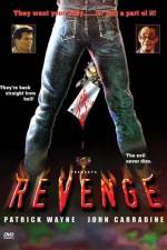 Watch Revenge Alluc