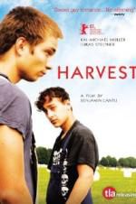 Watch Harvest Alluc