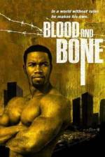 Watch Blood and Bone Alluc