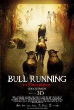 Watch Encierro 3D: Bull Running in Pamplona Alluc