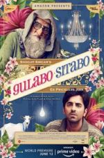 Watch Gulabo Sitabo Alluc