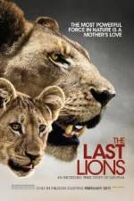 Watch The Last Lions Alluc