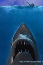 Watch Jaws: The True Story Alluc