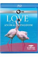 Watch Nature: Love in the Animal Kingdom Alluc