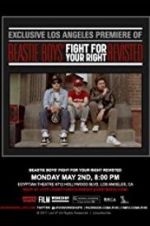 Watch Beastie Boys: Fight for Your Right Revisited Alluc