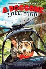 Watch A Doggone Hollywood Alluc