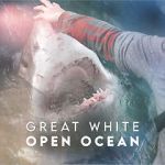 Watch Great White Open Ocean Online Alluc